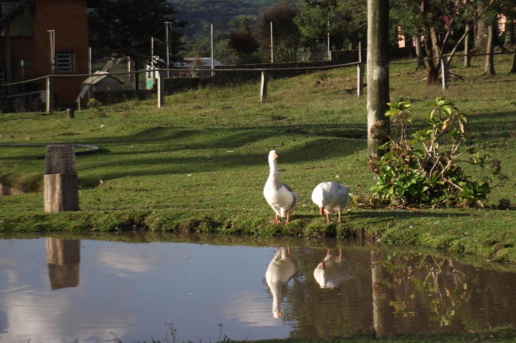 Hotel Fazenda Pampas Canela Zewnętrze zdjęcie