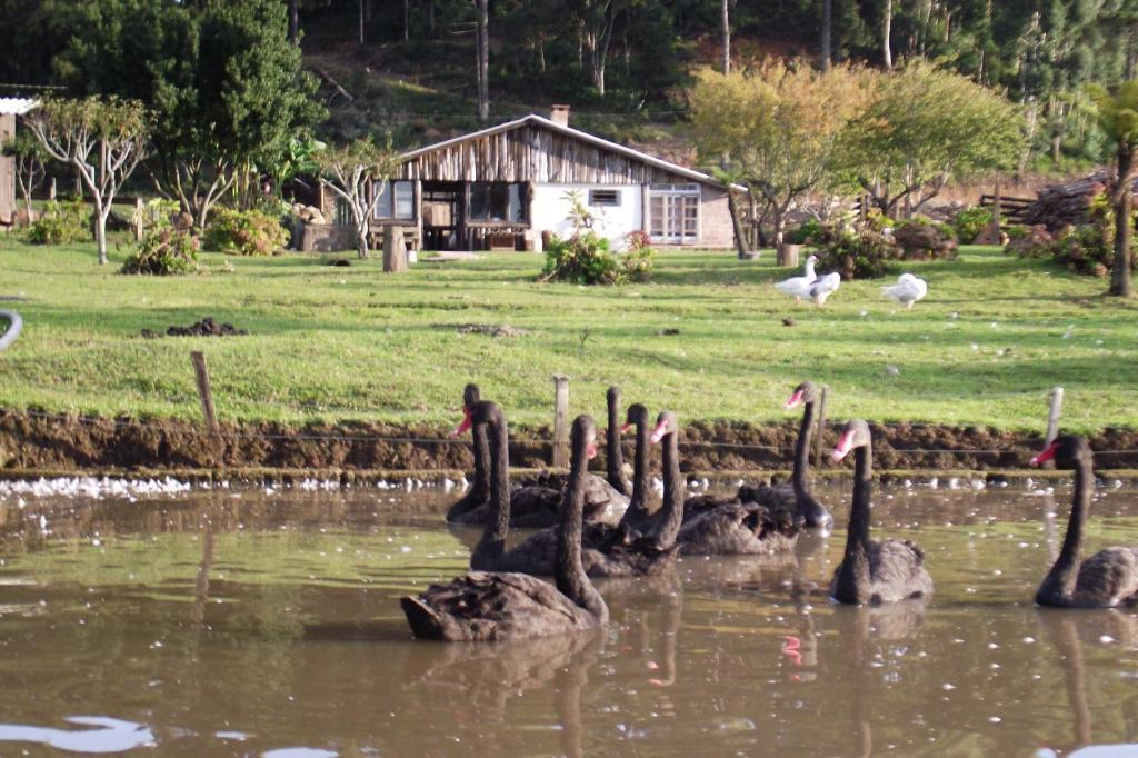 Hotel Fazenda Pampas Canela Zewnętrze zdjęcie